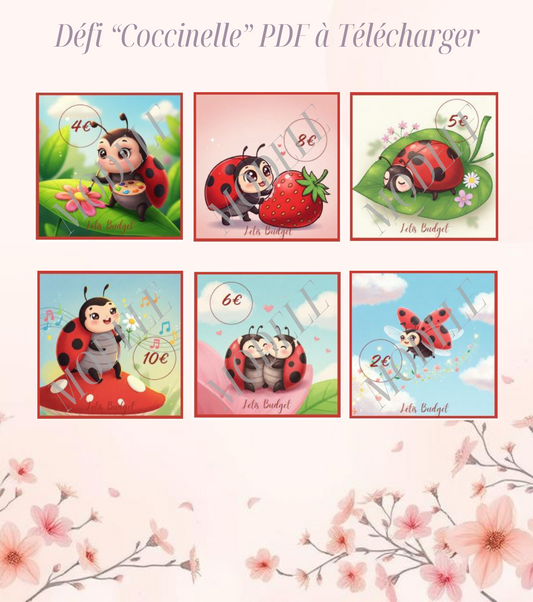 Lot de 6 Fiches  Coccinelle -Défis A6 à imprimer